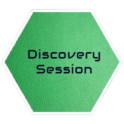 Discovery Session Discovery Session