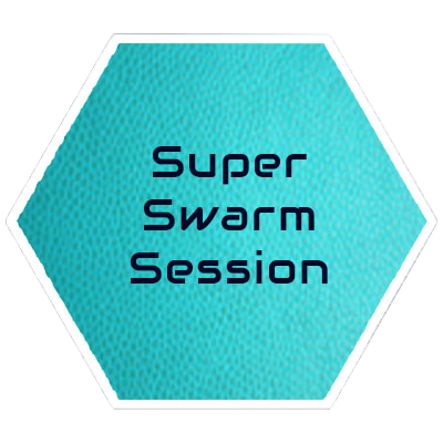 Super Swarm Session 2 Super Swarm Session 2