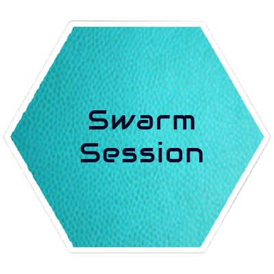 Swarm Session