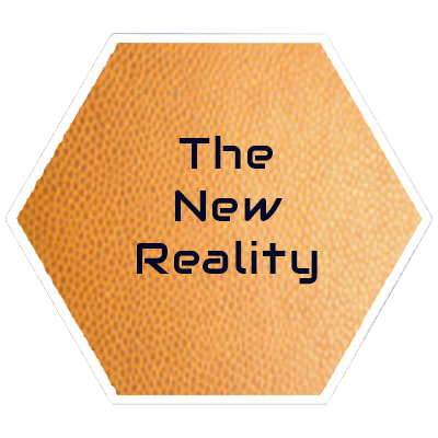The new reality The new reality